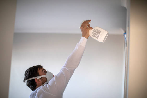 Best Home Mold Removal  in Pasco, WA