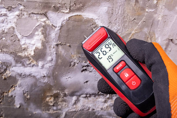 Best Mold Removal and Inspection  in Pasco, WA